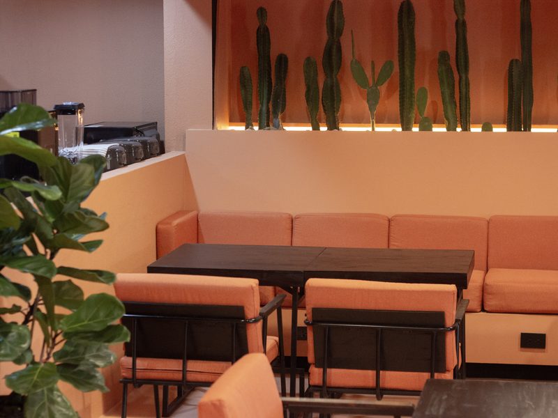 Coworking Space, PALM HOUSE