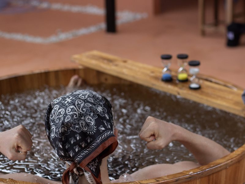 Ice Bath, PALM HOUSE