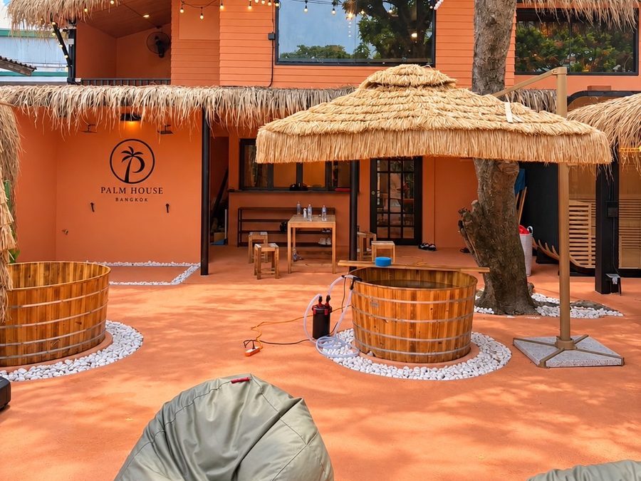 The PALM HOUSE garden by day, with ice baths, a thatched parasol and beanbags